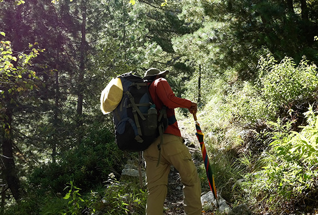Himalayan forest trek